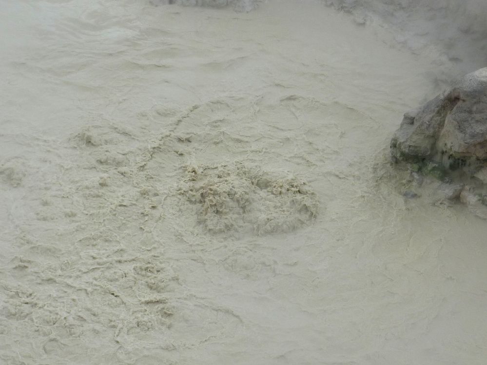Yellowstone Mud Volcano Area (30).JPG